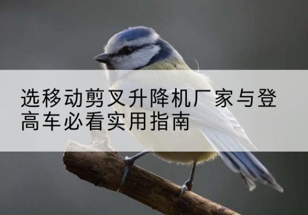 镇宁电动升降机厂家-选移动剪叉升降机厂家与登高车必看实用指南