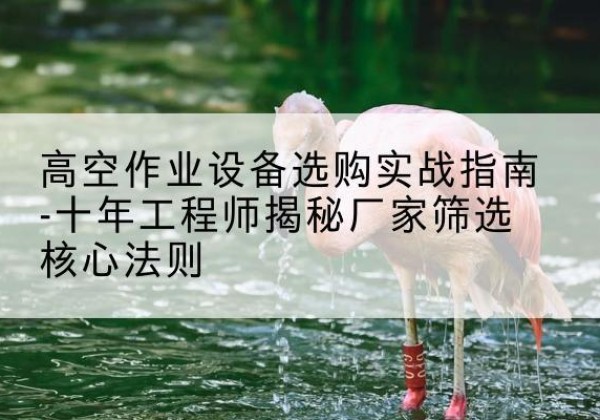 镇宁剪叉式升降机厂家-高空作业设备选购实战指南-十年工程师揭秘厂家筛选核心法则